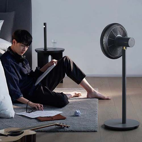 Напольный вентилятор Xiaomi SmartMi Pedestal Fan 3 ZLBPLDS05ZM (Черный)