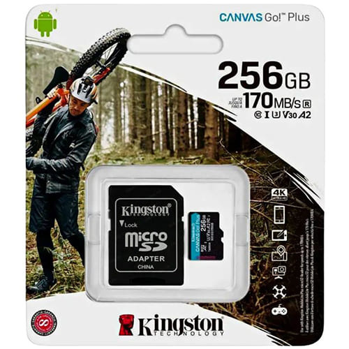 Карта памяти Kingston Canvas GO! Plus microSDXC  256 ГБ (SDCG3/256GB) + SD адаптер
