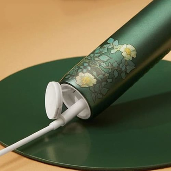 Электрическая зубная щетка Soocas X3U & Van Gogh Museum Design (Зелёный) - фото3
