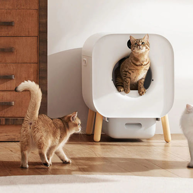 Умный автоматический туалет Xiaomi Xiaowan Intellient Automatic Cat Toilet (XMLB01MG) - фото5
