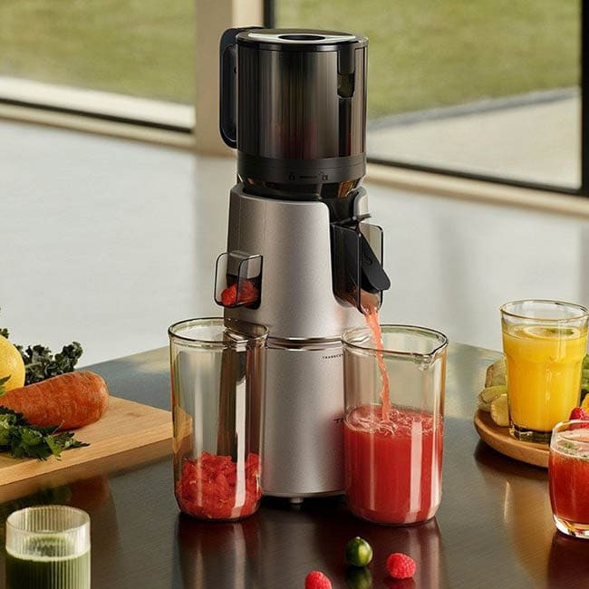 Соковыжималка Trouver Slow Juicer SJ10 (Международная версия)