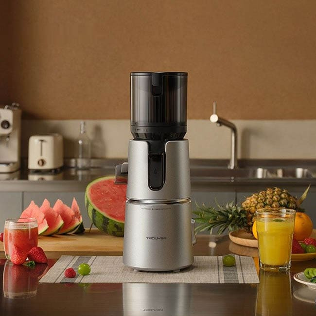 Соковыжималка Trouver Slow Juicer SJ10 (Международная версия)