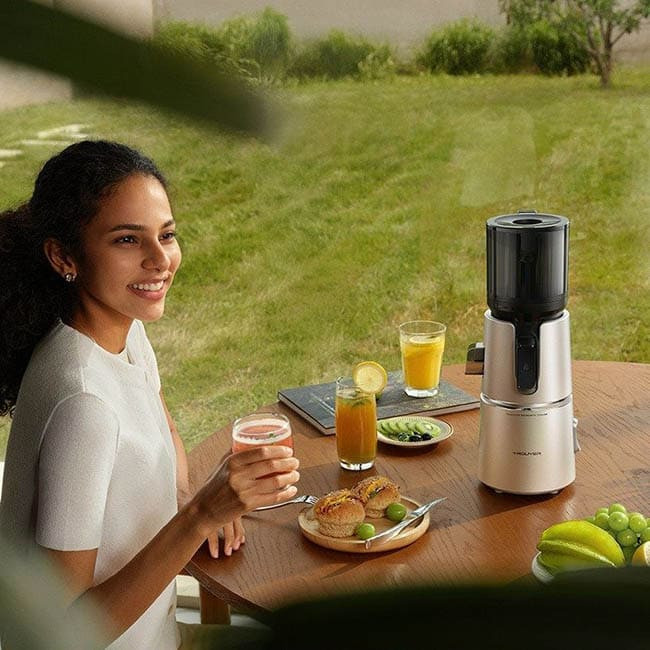 Соковыжималка Trouver Slow Juicer SJ10 (Международная версия)