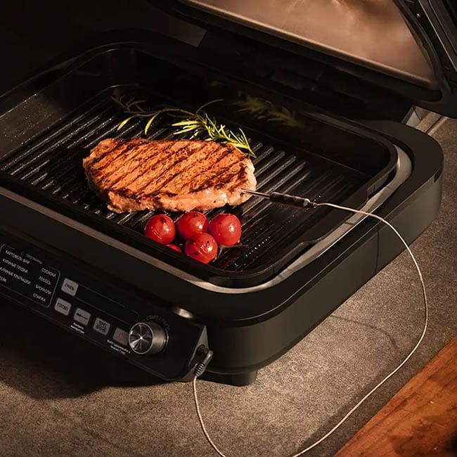 Аэрогриль (Аэрофритюрница) Trouver Indoor Air fry grill IG20 Pro (Международная версия) Черный
