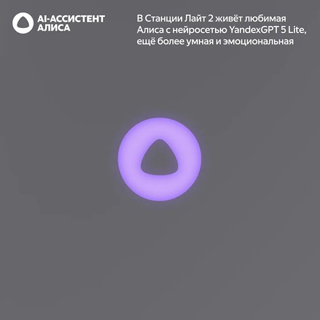 Умная колонка Яндекс Станция Лайт 2 Серый