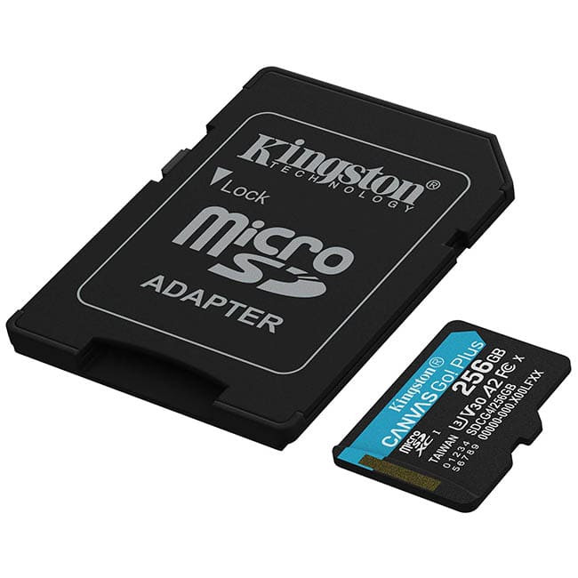 Карта памяти Kingston Canvas Go! microSDXC 256 ГБ (SDCG4/256GB) + SD адаптер