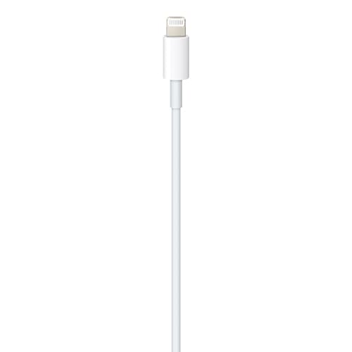 Кабель Apple Type-C to Lightning Cable (MX0K2AM/A), длина1 метр (Белый) 