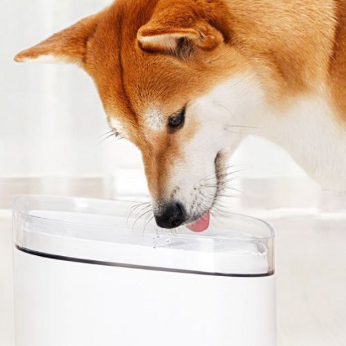 Поилка для животных Kitten&Puppy Pet Water Dispenser (MG-FW001)