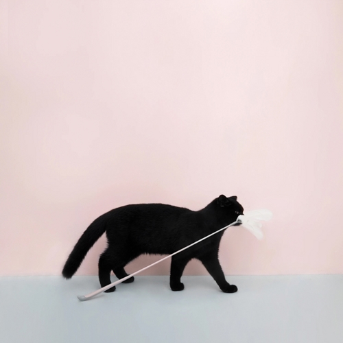 Игрушка-дразнилка с перьями для кошек Furrytail Flamingo Cat Teaser (Голубой) 