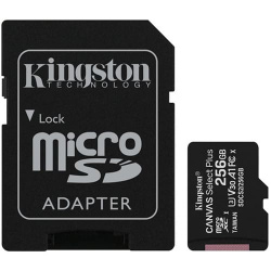 Карта памяти Kingston Canvas Select Plus microSDXC 256ГБ (SDCG3/256GB) + SD адаптер - фото
