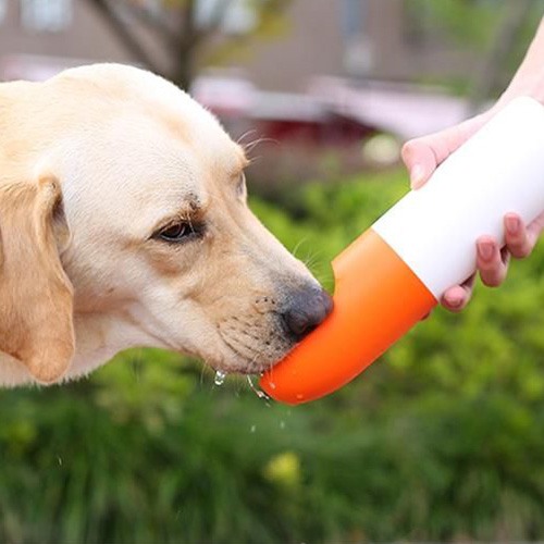 Поилка для собак с отсеком для корма Xiaomi Moestar Rocket Pet Cup (230 + 200 мл) Оранжевый