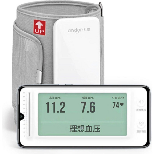 Тонометр Andon Smart Arm Electronic Blood Pressure Monitor BP5 (Серый)