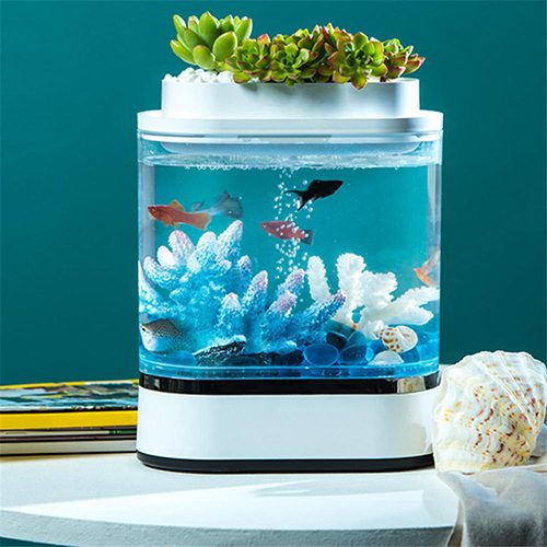 Аквариум Mini Lazy Fish Tank