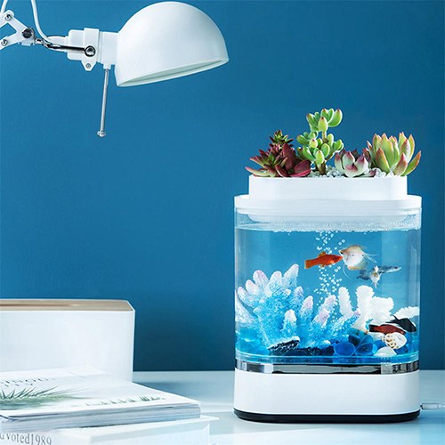 Аквариум Mini Lazy Fish Tank