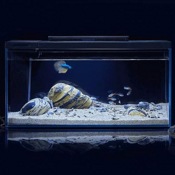 Аквариум PETKIT Origin Intelligent Fish Tank (Версия «Каменная безмятежность») - фото