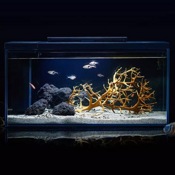 Аквариум Xiaomi PETKIT Origin Intelligent Fish Tank (Версия «Коралловый риф») - фото