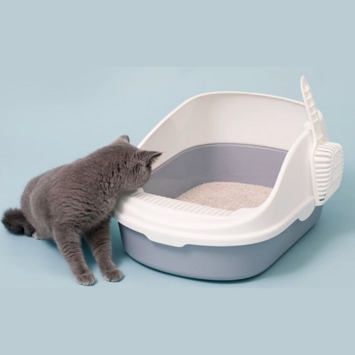 Лоток для кошек Semi-open Cat Litter