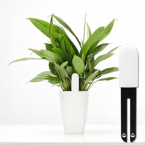 Датчик для растений Smart Flower and Plant Monitor (Белый)